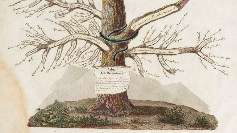 Numérabilis